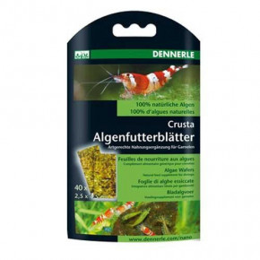      Dennerle Nano Algenfutterblatter 40  (125546)