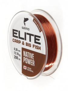   Salmo Salmo Elite Carp Big Fish 200/030 (4120-030) 3