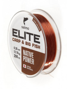   Salmo Salmo Elite Carp Big Fish 200/032 4120-032) 3