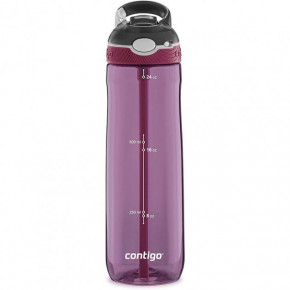    Contigo Ashland 720  Passion Fruit