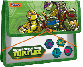    1    5 TMNT (491571)