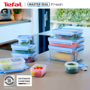  Tefal MasterSeal  550 (K3021112) 3