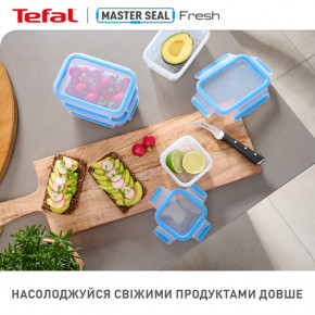  Tefal MasterSeal  550 (K3021112) 13