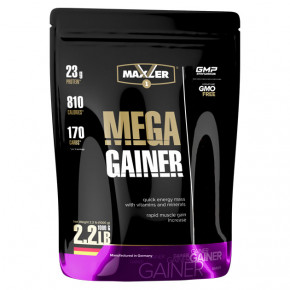  Maxler Mega Gainer 1  