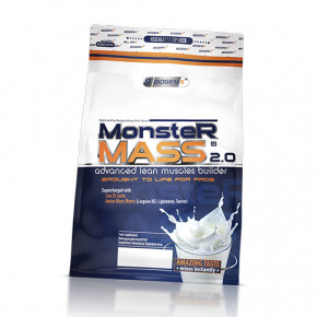  Biogenix Monster Mass 1000  (30410001)