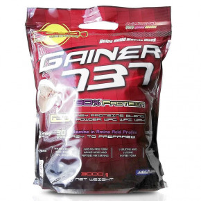  Megabol GAINER 737 30 protein 3000g Cookies 