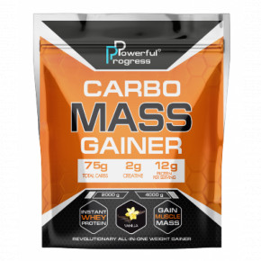  Powerful Progress Carbo Mass Gainer 2000g Vanilla