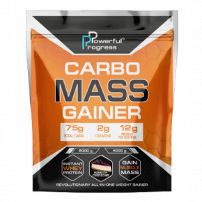  Powerful Progress Carbo Mass Gainer 4000g Creme brulee 3