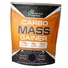  Powerful Progress Carbo Mass Gainer 4000  (30401002)