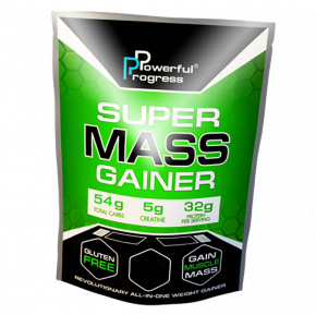  Powerful Progress Super Mass Gainer 1  