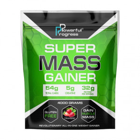  Powerful Progress Super Mass Gainer 4000g Coconut