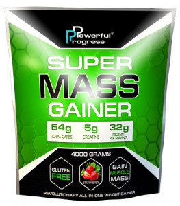  Powerful Progress Super Mass Gainer 4  