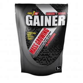  Power Pro Gainer 1   