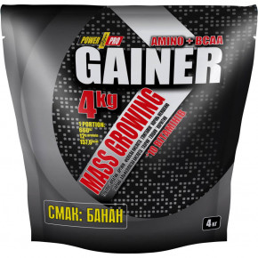  Power Pro Gainer 4  