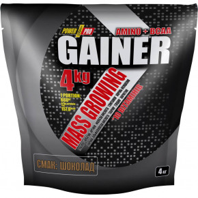  Power Pro Gainer 4  