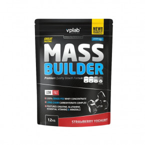  VPLab Mass Builder 1200   (4384303110)