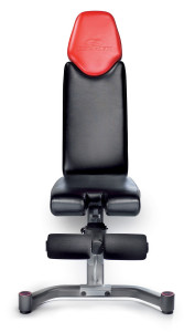   Bowflex SelectTech 5.1 4