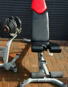   Bowflex SelectTech 5.1 5