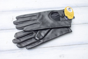 Ƴ    Shust Gloves 705 L 5