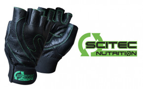  Scitec Nutrition Green Style XXL