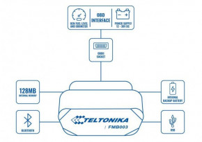    GPS- Teltonika FMB003 (FMB003) 9