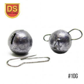  DS   10g