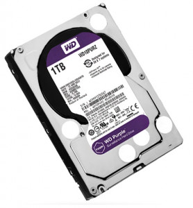   Western Digital 1TB Purple (LP7279)