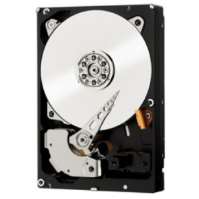   2Tb Western Digital SAS WD2001FYYG, 3,5 3