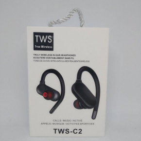    TWS-C2, ׸ 3