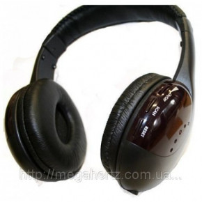   5  1 + FM  Wireless (77700005) 3