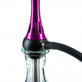  Alpha Hookah Kappa Purple 3