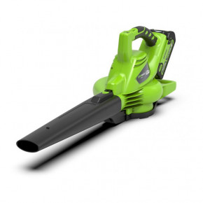  - GreenWorks GD40BV    