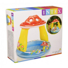   Intex    (57114)