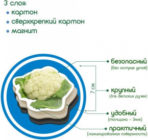   Magdum  (ML4031-12 EN) 10