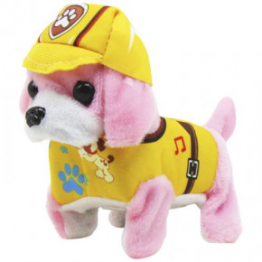   Paw Patrol:  (KA-23-166)