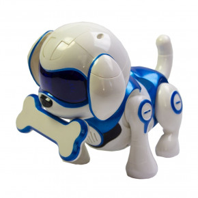   Shantou  Rock robot dog 9