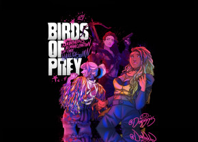  GeekLand      Birds of Prey (6040 ) BOP 10.01 (FU21BOP 10.01) 3