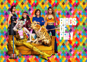  GeekLand    Birds of Prey (6040 ) BOP 10.12 (FU21BOP 10.12) 3