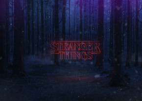  GeekLand Stranger Things     (6040 ) ST 09.029 (FU21ST 09.029) 4