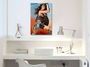  GeekLand Wonder Woman -   (4060 ) WW.09.095 (FU21WW.09.095)