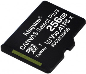    Kingston (SDCS2/256GBSP) (1)