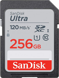   SanDisk (SDSDUN4-256G-GN6IN)