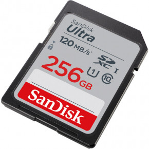   SanDisk (SDSDUN4-256G-GN6IN) 4