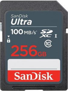   SanDisk (SDSDUNR-256G-GN3IN)