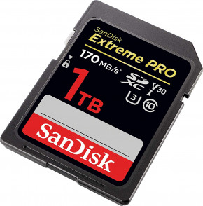   SanDisk (SDSDXXY-1T00-GN4IN)