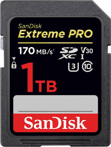   SanDisk (SDSDXXY-1T00-GN4IN) 3