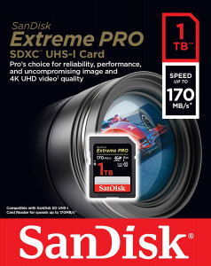   SanDisk (SDSDXXY-1T00-GN4IN) 4