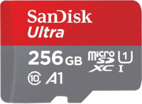   SanDisk (SDSQUAC-256G-GN6MA)