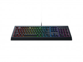  Razer Cynosa V2 - Russian Layout (JN63RZ03-03400700-R3R1) 4