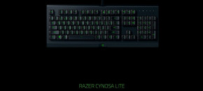   Razer Cynosa Lite (RZ03-02740600-R3M1) 9